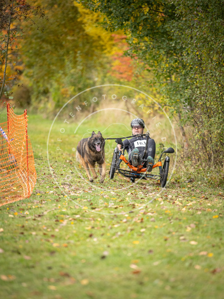 Pfotenfotografie_DV3A3520 | Hundefotografie, Tierfotograf, Pfotenfotografie, Fotoshooting Hund, Hunde Portrait, Hundesport, Hundeportraits, Heideshooting, Hunde, Sportfotograf, Hundefotograf, Turnierhundsport, THS,  - Realisiert mit Pictrs.com