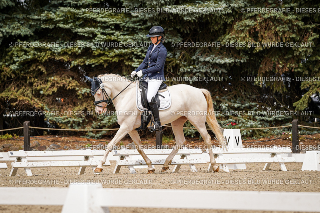 DSC04265 | Pferdegrafie