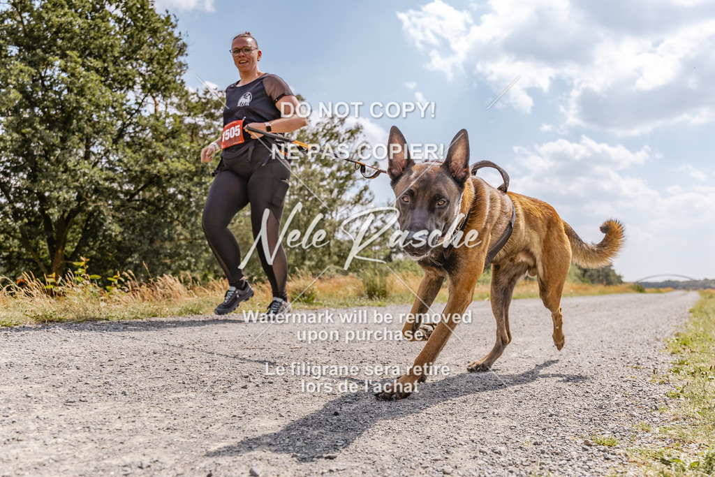 BUHU_CC_080 | nelerasche