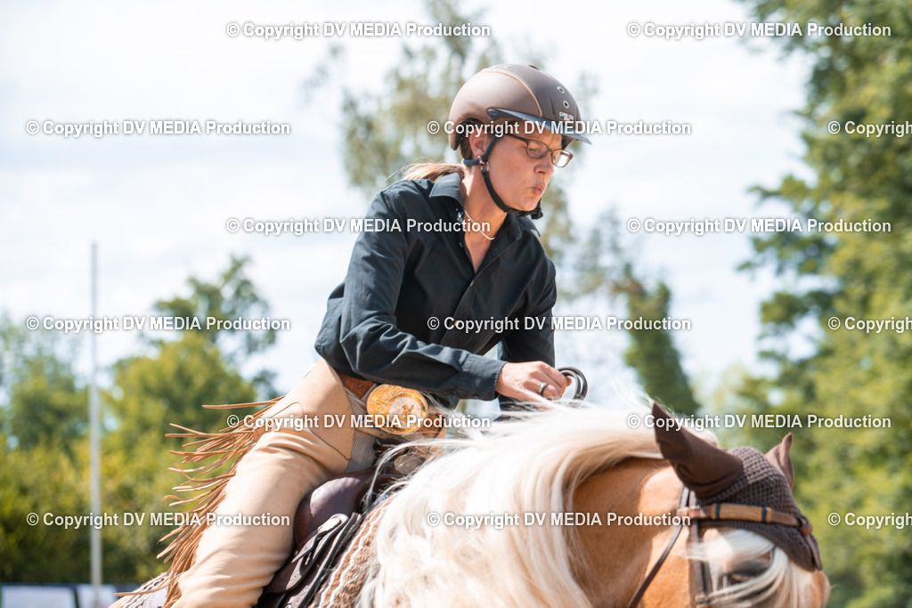 ZS2_8320 | dv-media-shop - Realisiert mit Pictrs.com