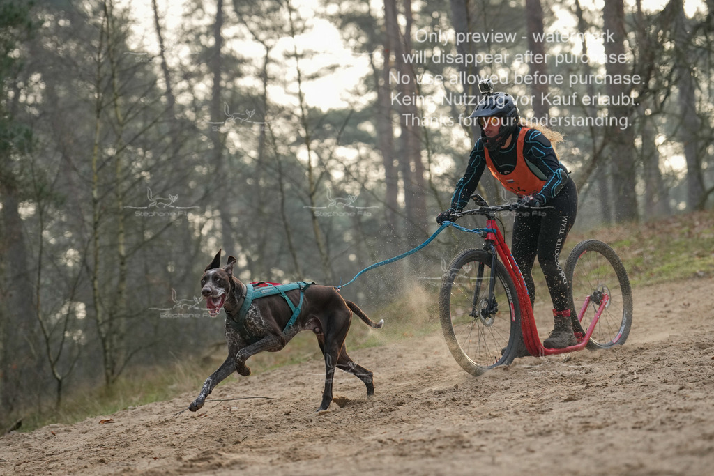 Scooter1-77 | stephaniefillaphotographie - Realisiert mit Pictrs.com