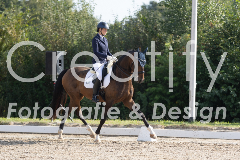 IMG_2357 | Creatify Fotografie