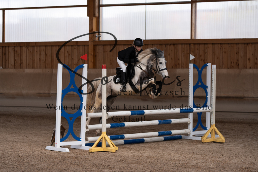 A7507560 | Pferdefotograf