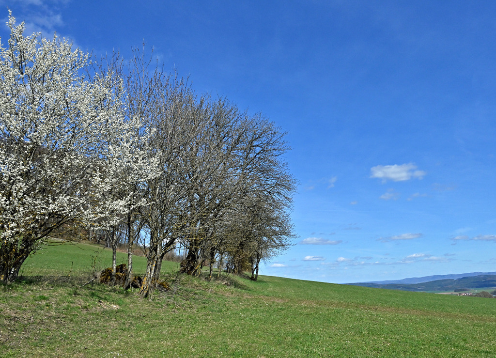 Landschaft01-3 | lucisnaturbilder - Realisiert mit Pictrs.com