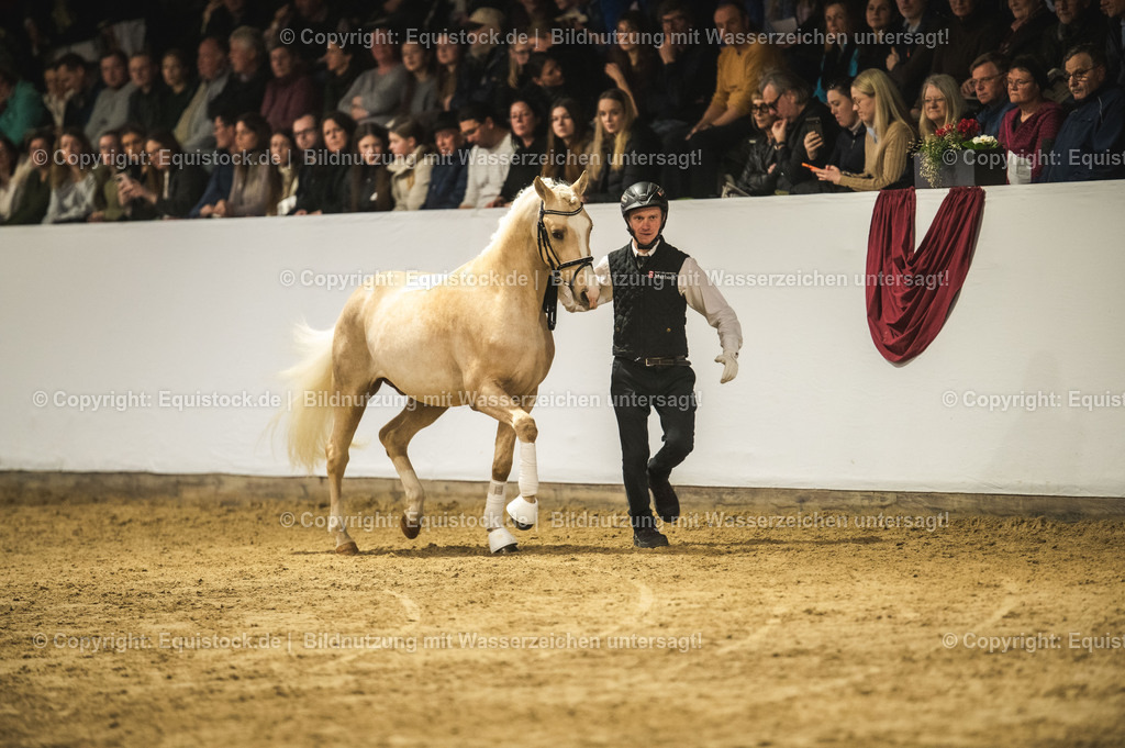 20240302_Hengstvorstellung_Marbach_TOMsPiC_0798 | equistock