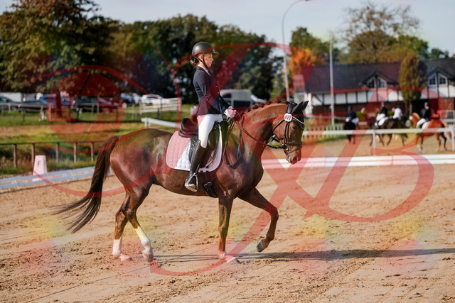 2026_10_03_Siefer-Hof_114722_Z63_25944850 | Professionelle Reitsport-, Turnier- und Eventfotografie von Robert Broda. Galerien mit ausgewählten und bearbeiteten Bildern direkt online ansehen und bestellen.