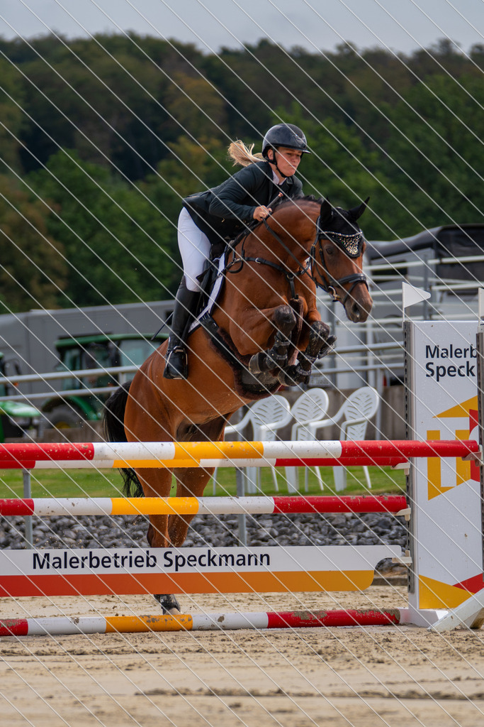 DSC07815 | XENIALENS - Realisiert mit Pictrs.com