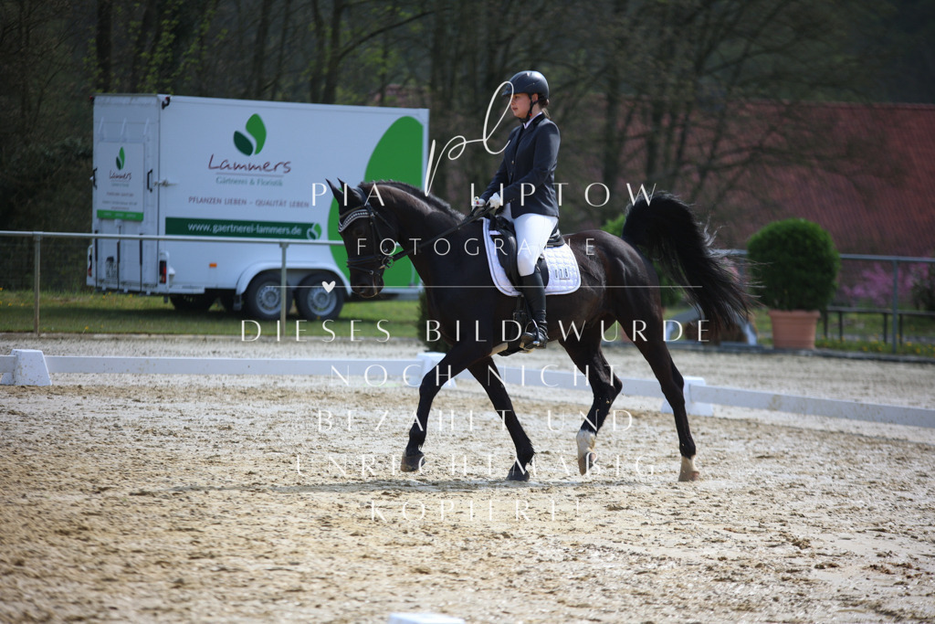 IMGT4647 | pl-fotografie