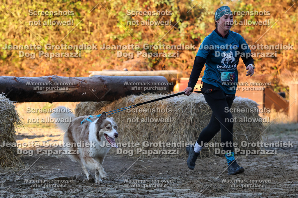 Dog Paparazzi - Strongdog 10-25-497 | Dog Paparazzi Jeanette Grottendiek Fotografie & Videografie - Realisiert mit Pictrs.com