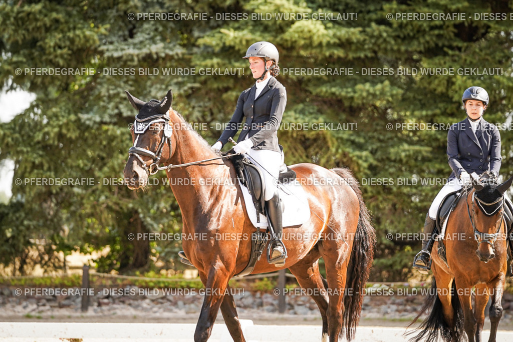 DSC00928 | Pferdegrafie