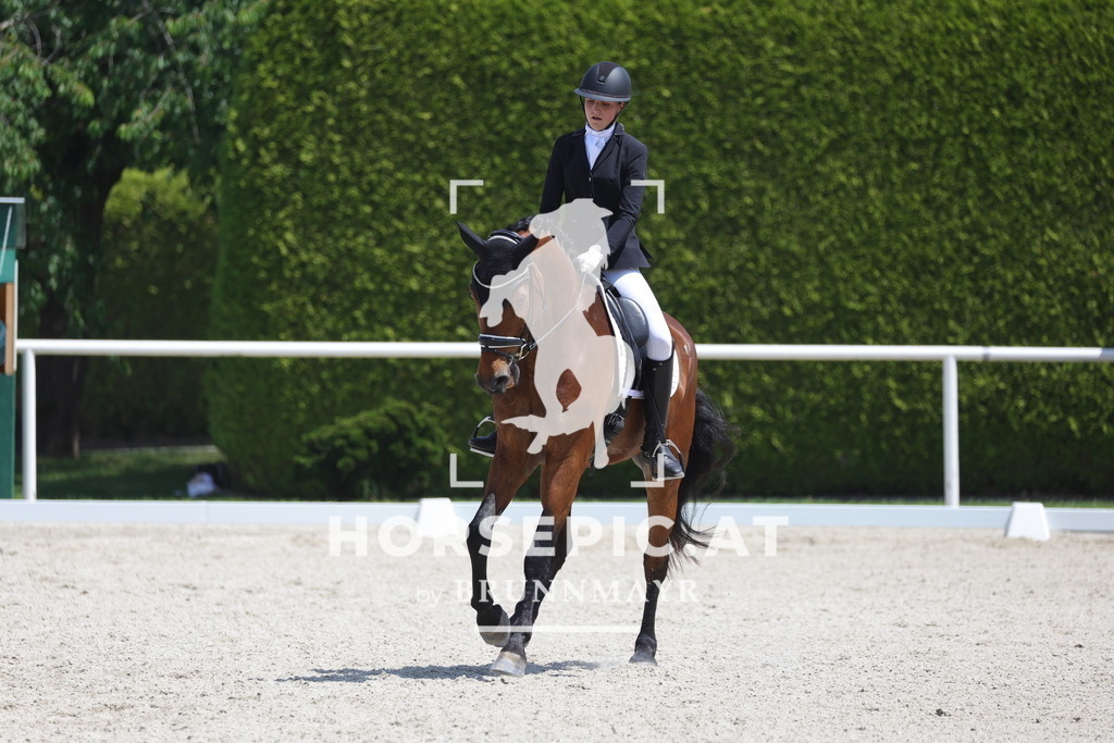 0P6A5842 | Willkommen bei Brunnmayr - Design & Fotografie – Ihrem Spezialisten für Reitturniere und Pferdeveranstaltungen in Oberösterreich, Salzburg und Bayern! Seit über 17 Jahren sind wir leidenschaftlich dabei.