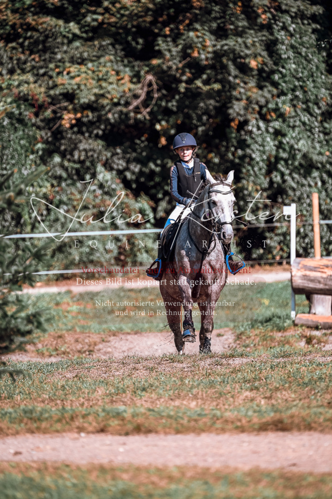 DSC_1166 | Pferde- und Turnierfotografie in Westsachsen. Pferdeportraits, Auftragszeichnungen und intuitive Kunst.