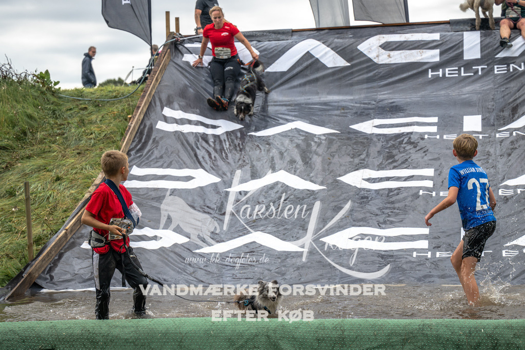 1338_ZZ92736 | kk-dogfotos