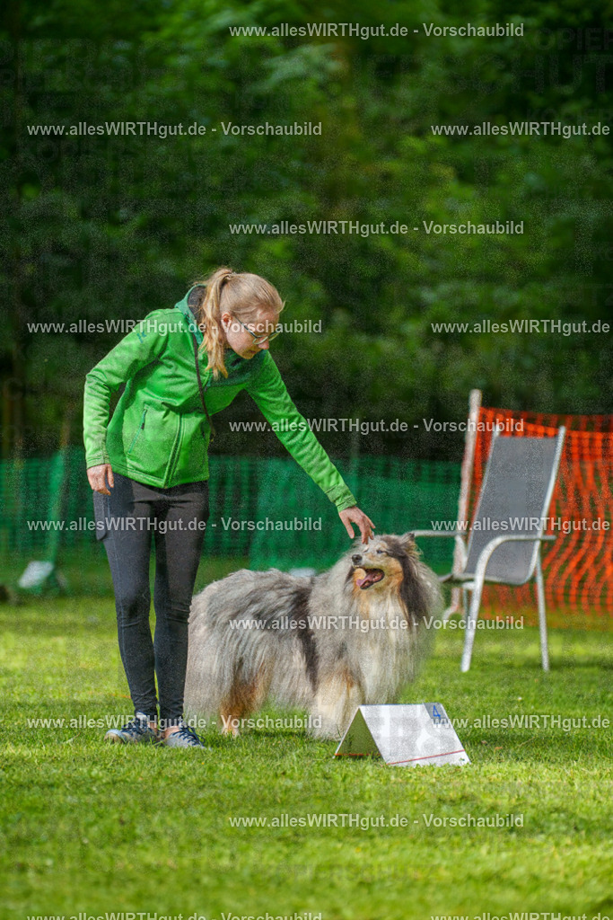 @allesWIRTHgut_Tierfotografie - www.allesWIRTHgut.de - 7R502117 | Professionelle Tierfotografie in Mönchengladbach von Daniel Wirth (allesWIRTHgut). Liebevolle & natürliche Bilder von Hunden & Katzen für unvergessliche Erinnerungen.
