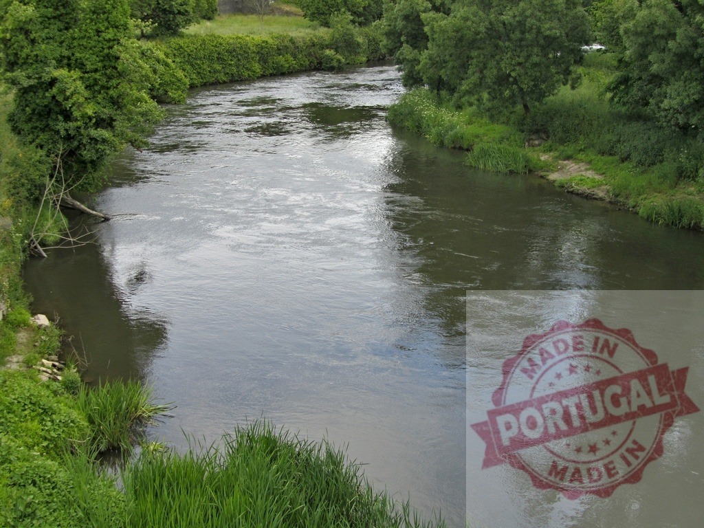 River Kelvin flowing through natural green landscape. Region Norte - Portugal | River Kelvin flowing through lush green trees and natural landscape - Realized with Pictrs.com