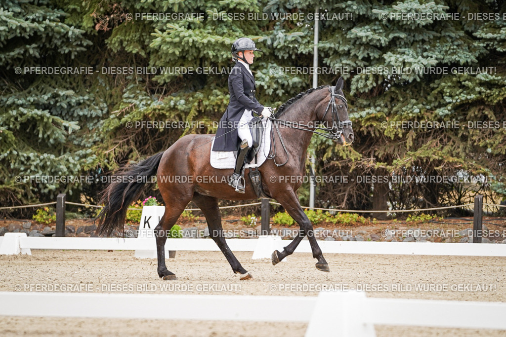 DSC07090 | Pferdegrafie