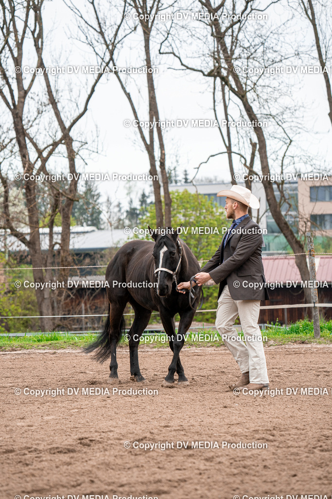 BA300144 | dv-media-shop - Realisiert mit Pictrs.com