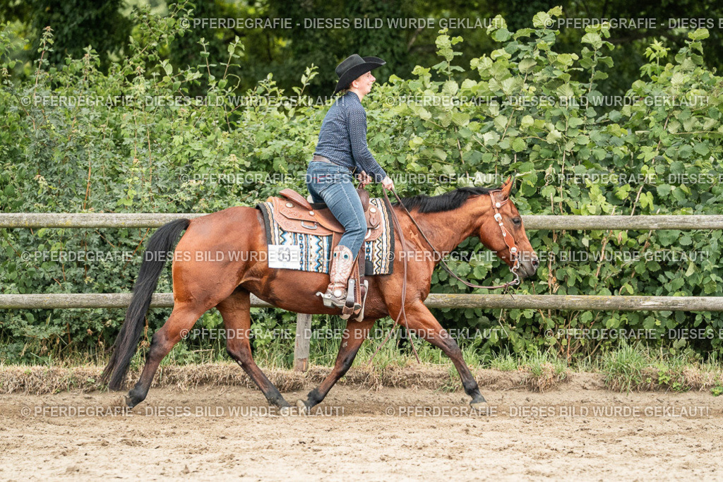 DSC04441 | Pferdegrafie