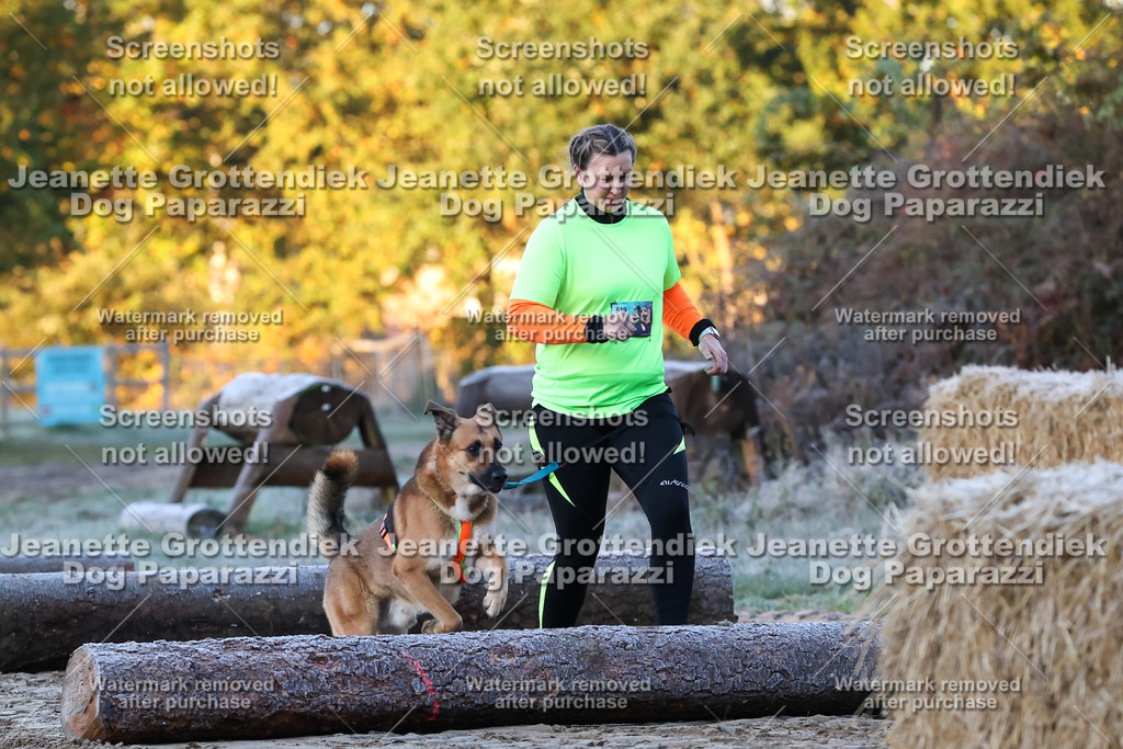 Dog Paparazzi - Strongdog 10-25-293 | Dog Paparazzi Jeanette Grottendiek Fotografie & Videografie - Realisiert mit Pictrs.com