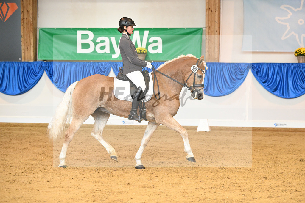 Kat-Nr. 301 Belle Sambatie_ZG Familie Stark_54221834 | hf-fotografie - Realisiert mit Pictrs.com