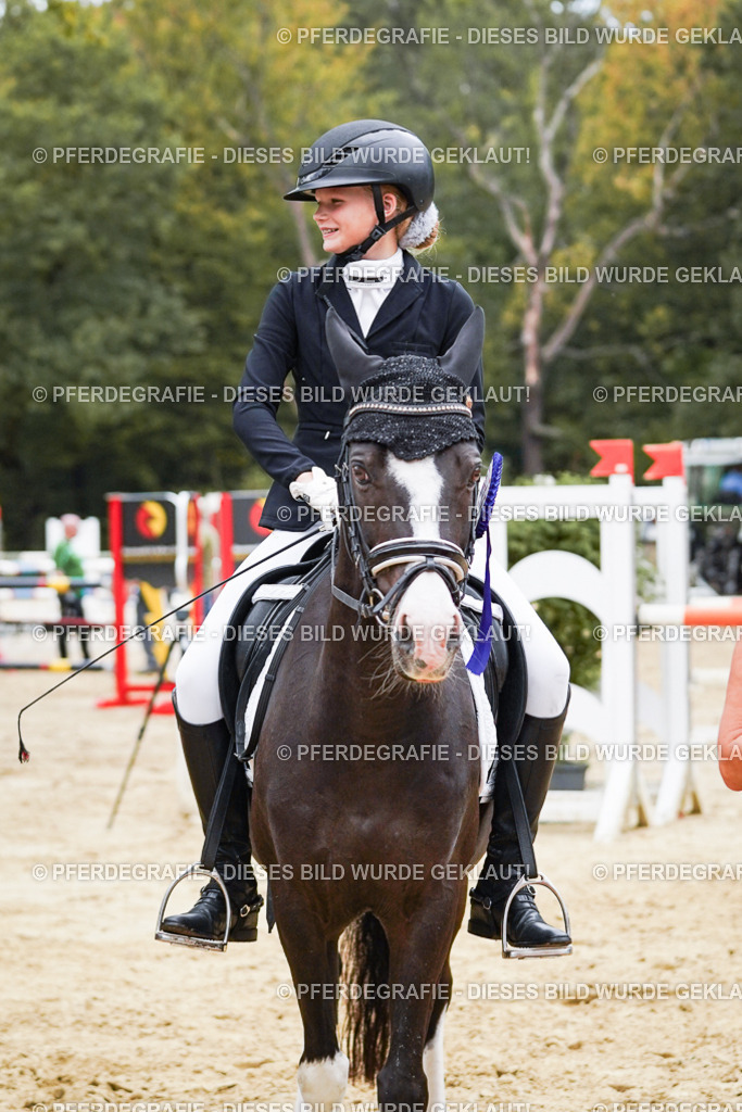 DSC06116 | Pferdegrafie