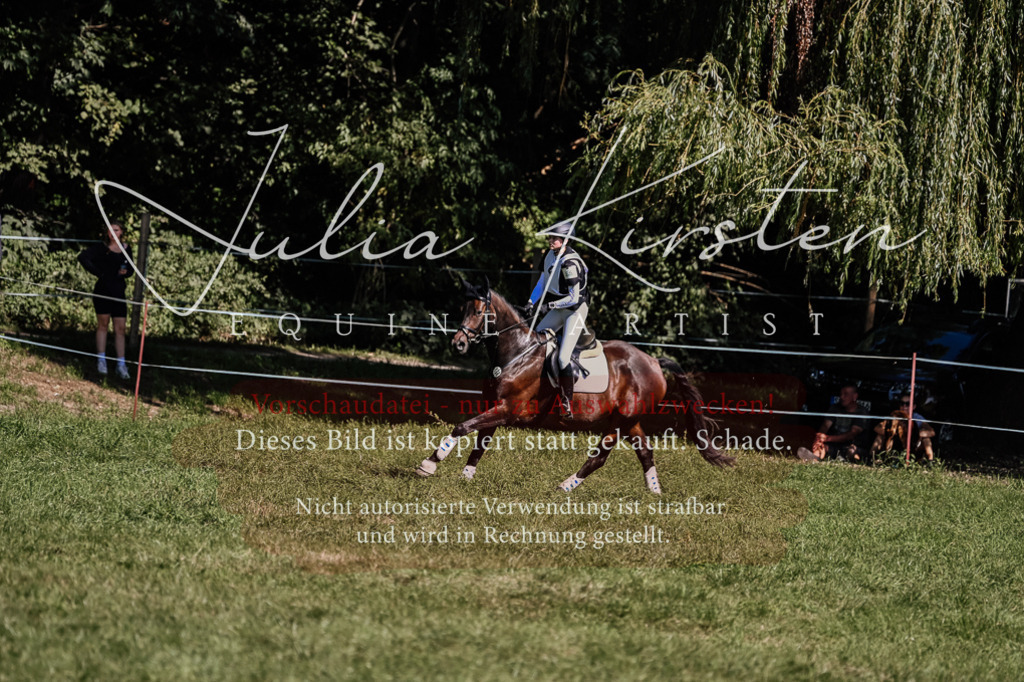 DSC_1439 | Pferde- und Turnierfotografie in Westsachsen. Pferdeportraits, Auftragszeichnungen und intuitive Kunst.
