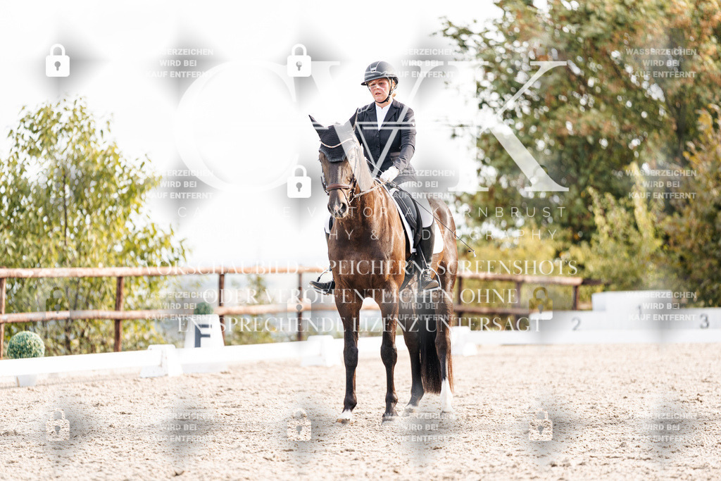 CK901184 | Turnierfotografie Pferdefotografie Trier Rheinland-Pfalz Pferdesport Reitsport Tierfotografie Sportfotografie Pferdevideo Pferdevideografie Equestrianvideography equestrianphotography  - Realisiert mit Pictrs.com
