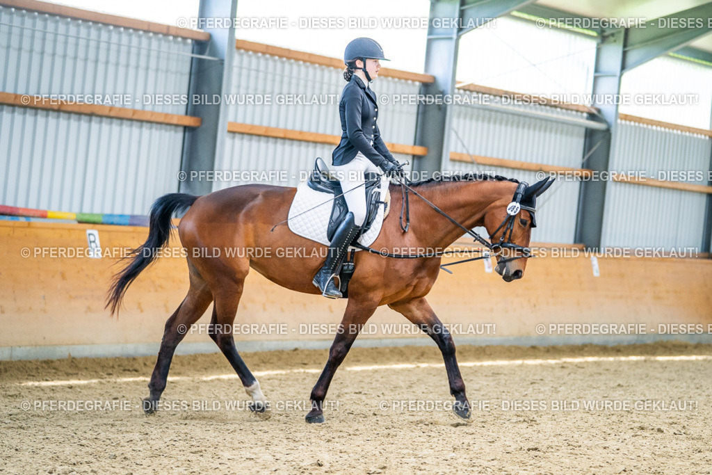 DSC04256 | Pferdegrafie