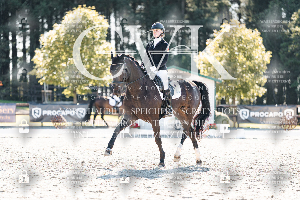 CK905820 | Turnierfotografie Pferdefotografie Trier Rheinland-Pfalz Pferdesport Reitsport Tierfotografie Sportfotografie Pferdevideo Pferdevideografie Equestrianvideography equestrianphotography  - Realisiert mit Pictrs.com