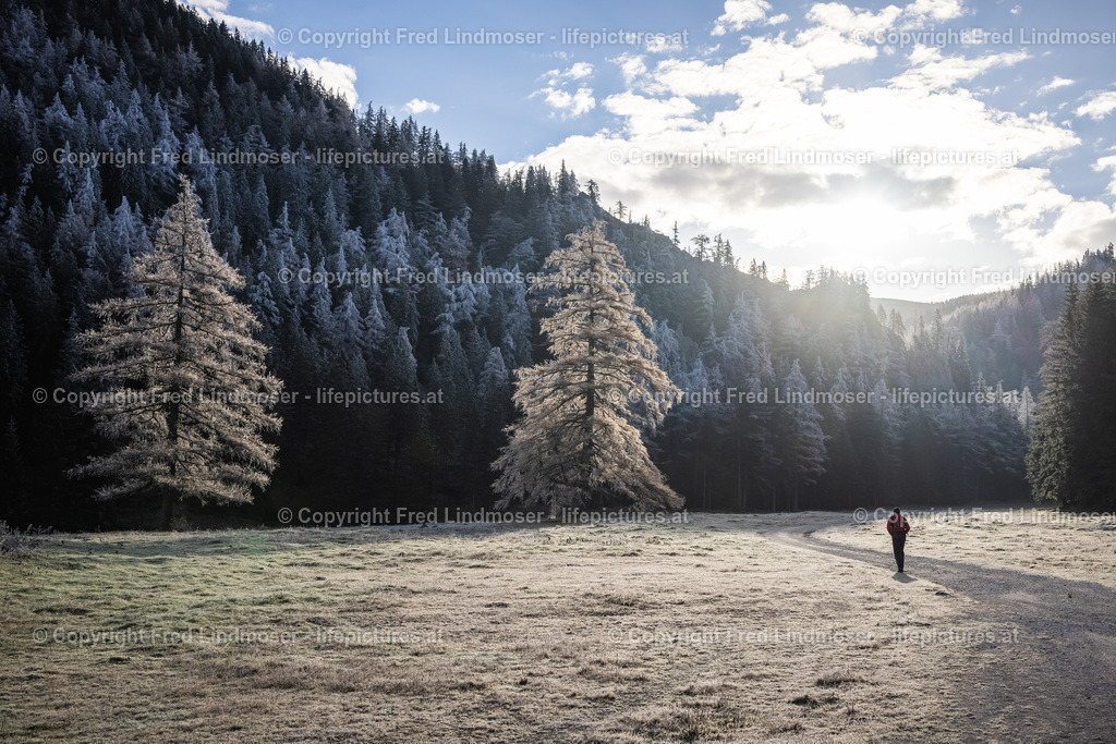 Seebergalm-Lappenta-Goeriacheralm-Hochanger-Novembertour-9456 | Fotos und Fotoprodukte - Realisiert mit Pictrs.com