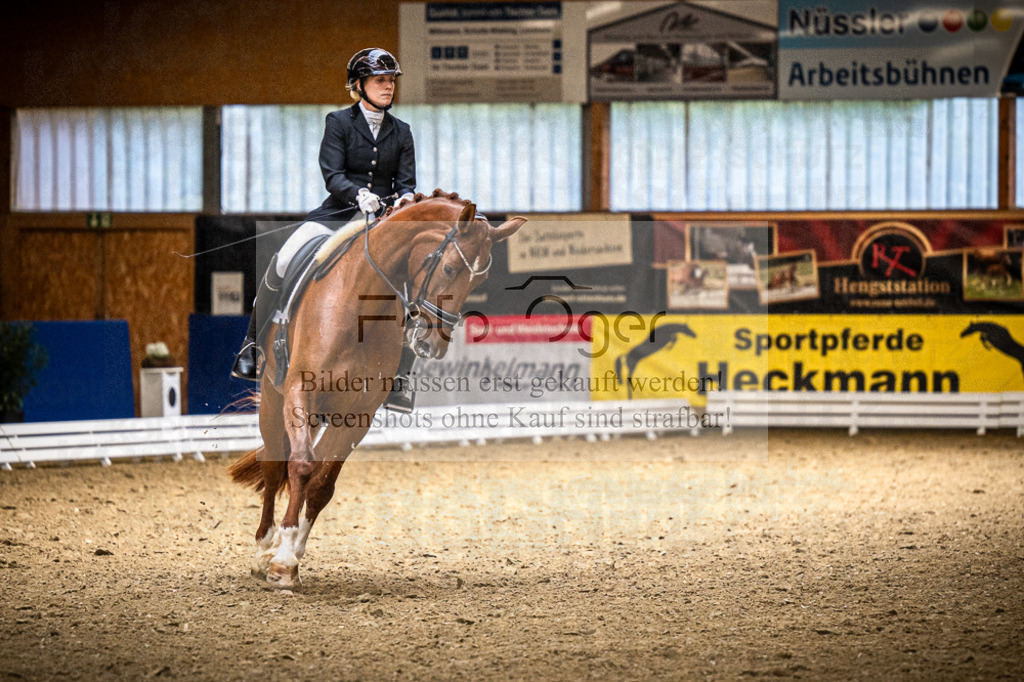 DOS_0381 | Entdecke hochwertige Reitturnierfotos von Foto Oger. Professionell, emotional und authentisch – jetzt Lieblingsmomente im Shop bestellen.Deutschlandweite Turnierfotografie. - Realized with Pictrs.com