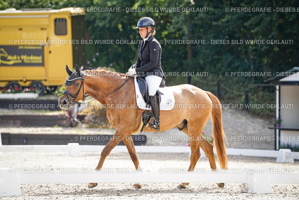 DSC07036 | Pferdegrafie