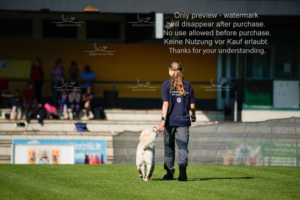 Samstag_Gehorsam_V2 (49) | stephaniefillaphotographie - Realisiert mit Pictrs.com