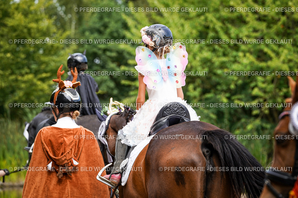 DSC03261 | Pferdegrafie