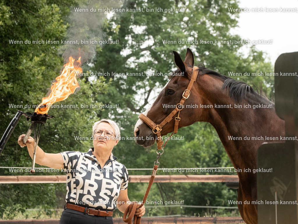 598A7986 | photographylinaismer - Realisiert mit Pictrs.com