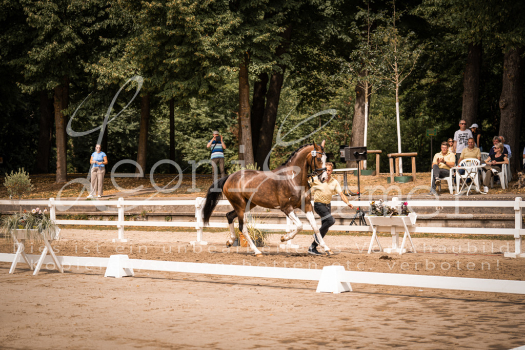 3.Fr00207 | Leoni Ertmer Photography - Realisiert mit Pictrs.com