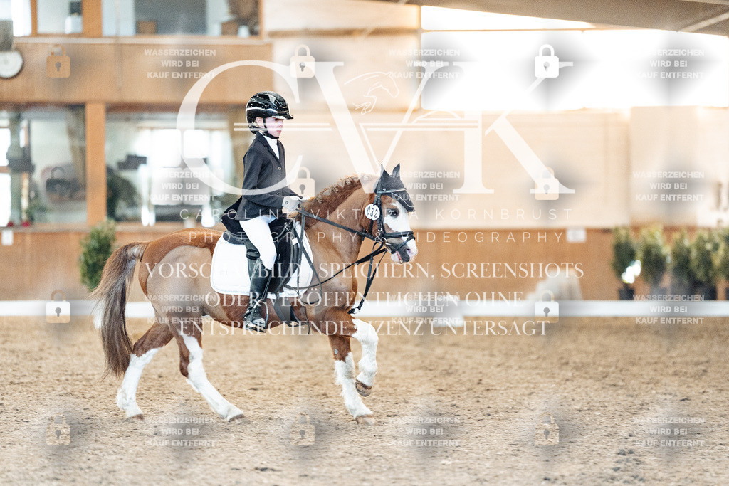 CK907284 | Turnierfotografie Pferdefotografie Trier Rheinland-Pfalz Pferdesport Reitsport Tierfotografie Sportfotografie Pferdevideo Pferdevideografie Equestrianvideography equestrianphotography  - Realisiert mit Pictrs.com