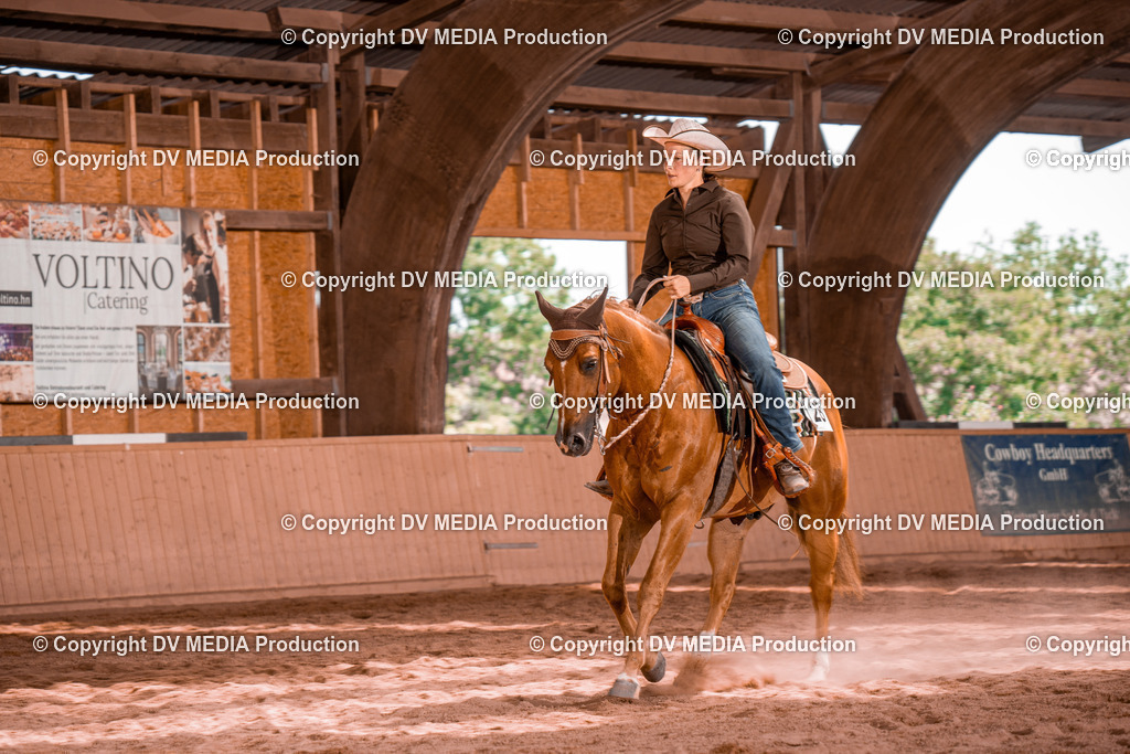 NE100785 | dv-media-shop - Realisiert mit Pictrs.com