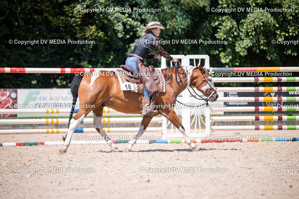 ZS1_1447 | dv-media-shop - Realisiert mit Pictrs.com