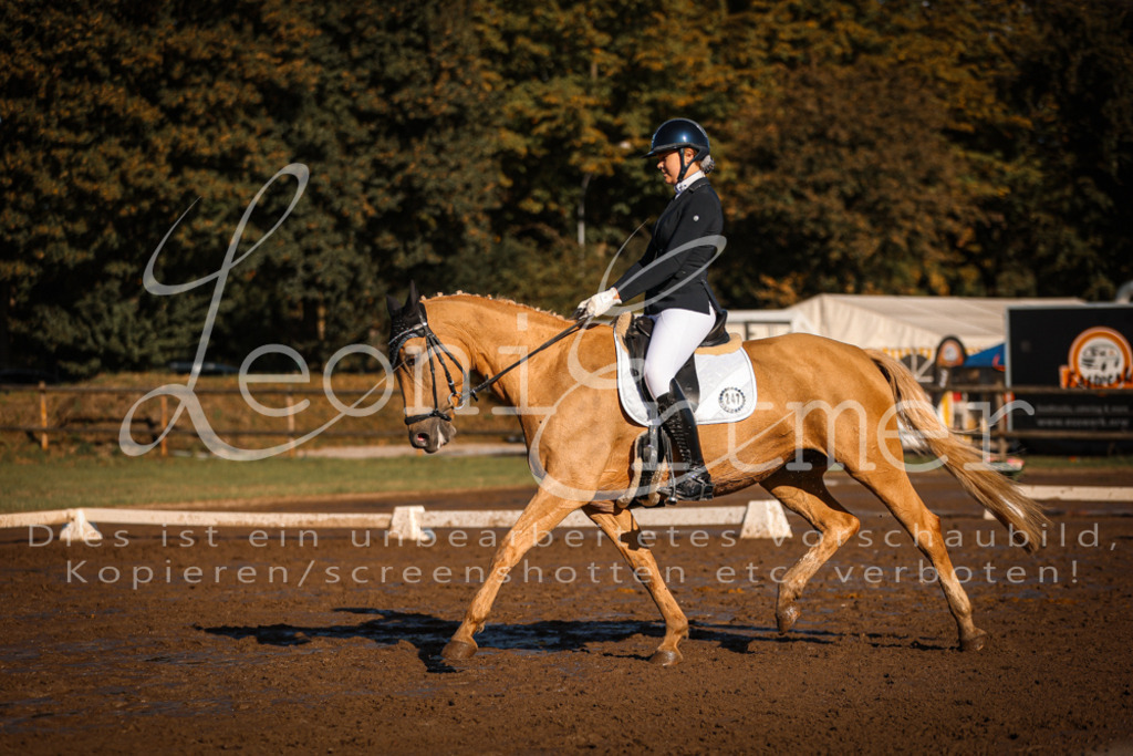 13.SoDrA100317 | Leoni Ertmer Photography - Realisiert mit Pictrs.com