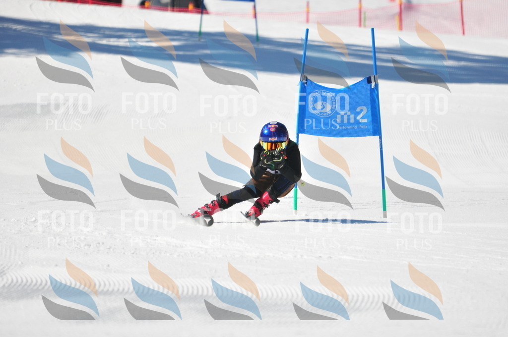 C3690 | holidayphoto