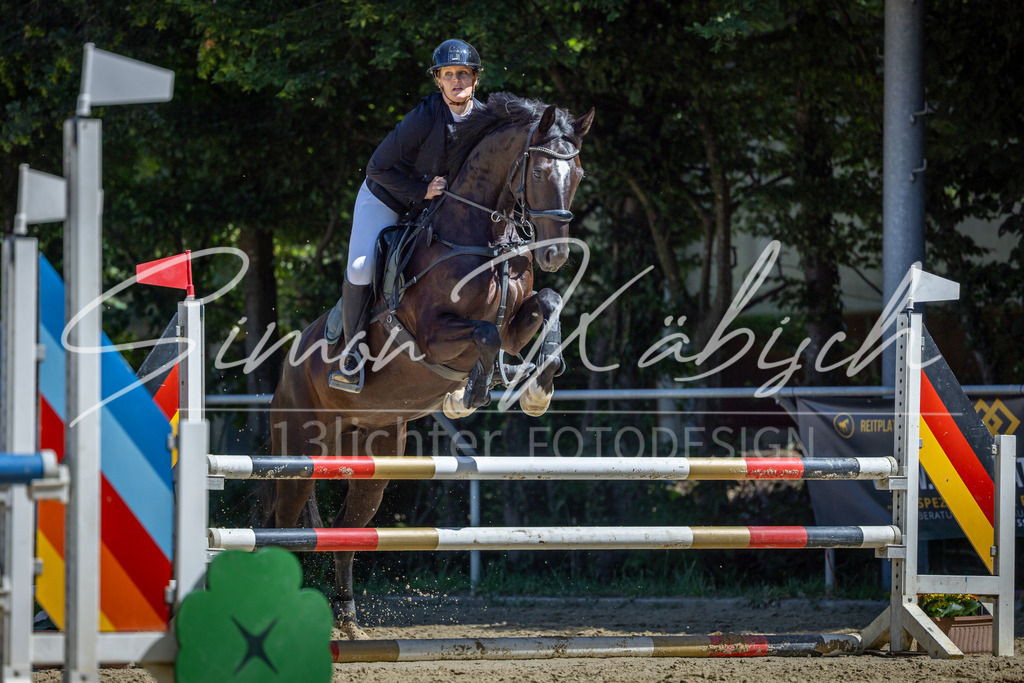 20260704-_3LI7987 | Tierfotografie Pferde, Hunde, Katzen, Haustiere.
Turnierfotografie Reitturniere, Reiten, Springreiten, Dressur in Hanau, dem Main-Kinzig-Kreis und dem Rhein-Main- Gebiet um Frankfurt