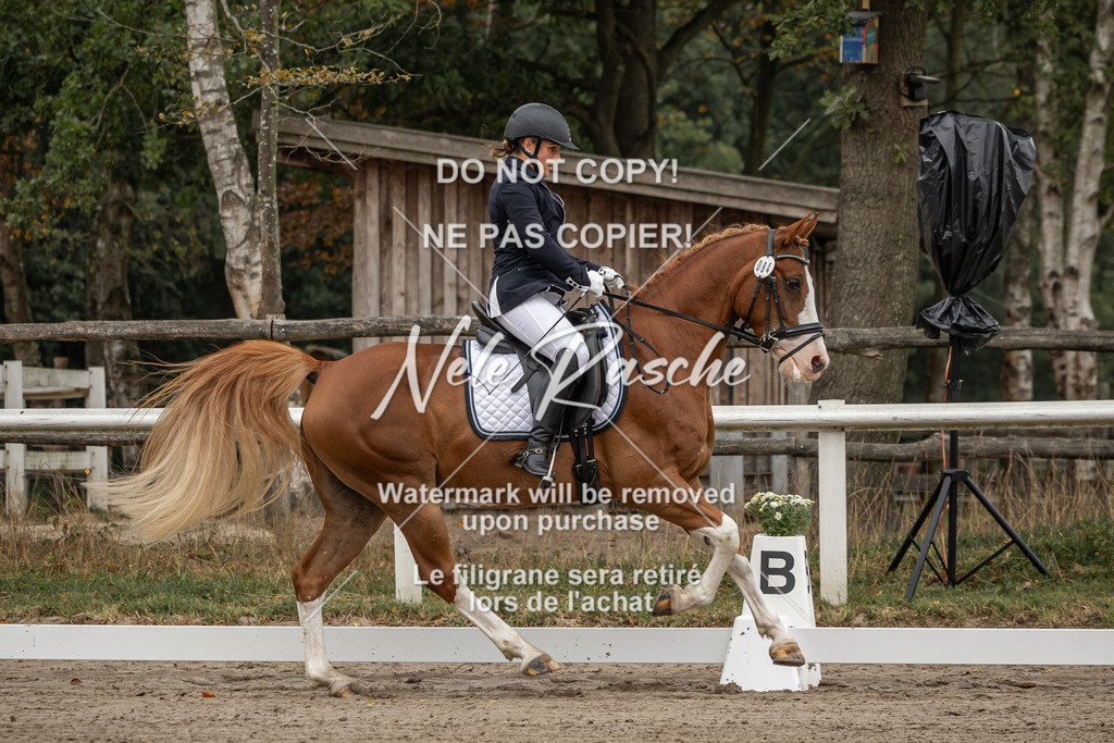 nelerasche_DrL_Ede_04 | nelerasche