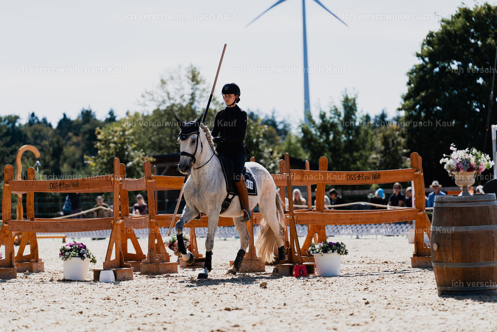Svea13FHC2025-08723 | working equitationturnier fotograf videograf stoibphotography marixx film working equitation deutschland reitsport turnierfotografie eventfotografie equestrian events