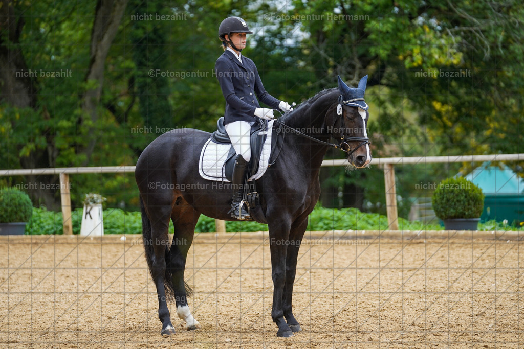 20221008-FAH01947 | Diessen am Ammersee, 2022, Dressur- und Springturnier, Reitsportbilder, Turnierfotografen Bayern, Pferdefotografen, Fotoagentur Herrmann, Turnierbilder