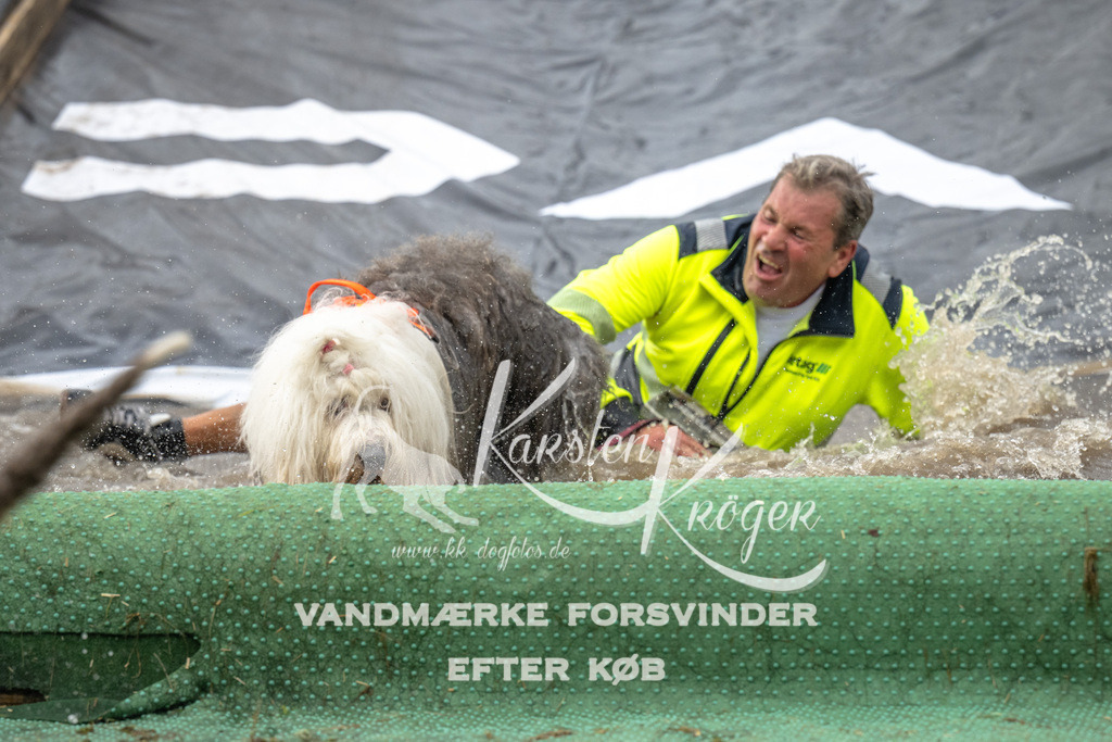 1605_ZZ92193 | kk-dogfotos