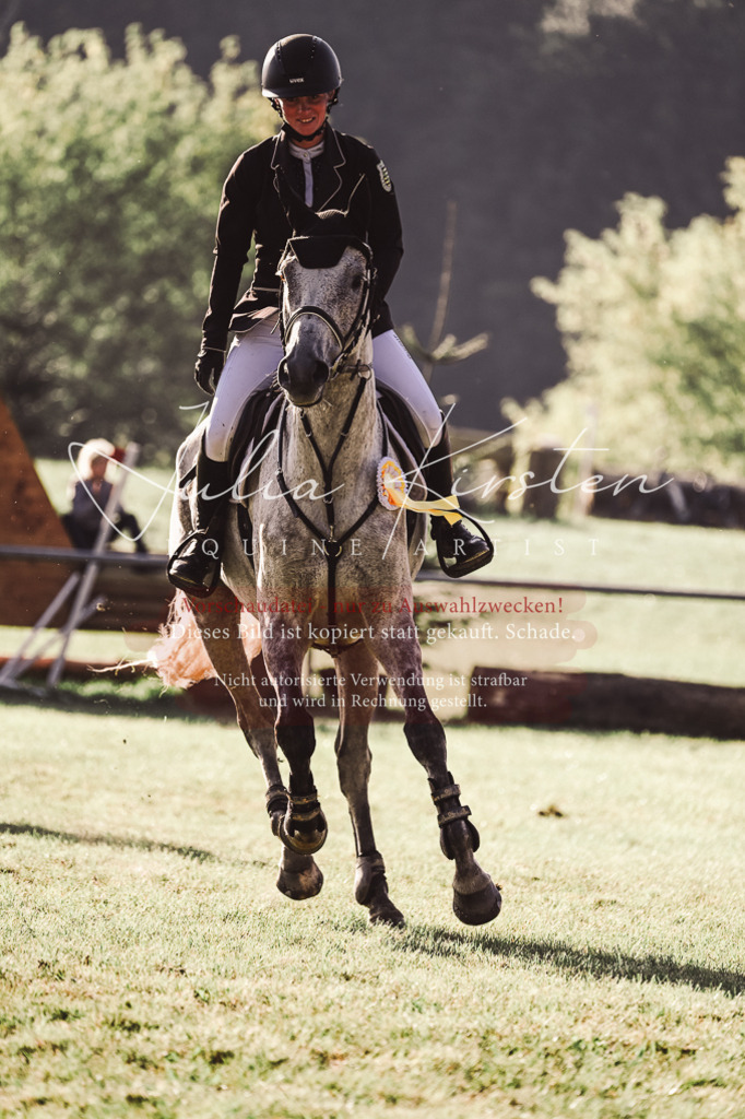 DSC_4632 | Pferde- und Turnierfotografie in Westsachsen. Pferdeportraits, Auftragszeichnungen und intuitive Kunst.