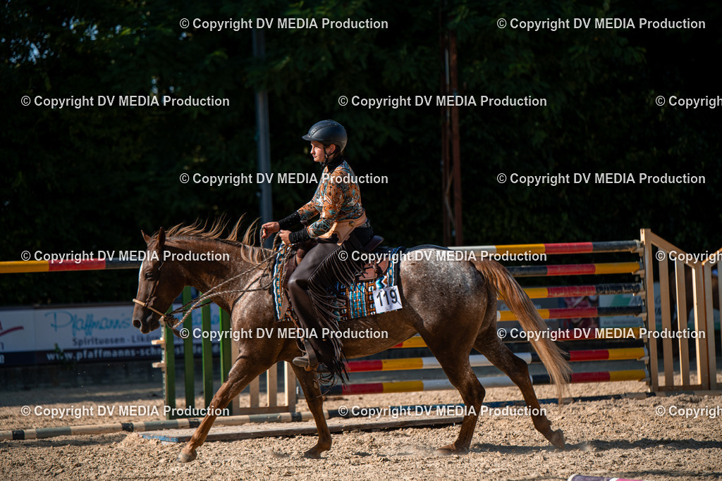 EWP_6985 | dv-media-shop - Realisiert mit Pictrs.com