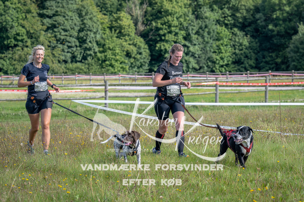 1130_ZZ92769 | kk-dogfotos