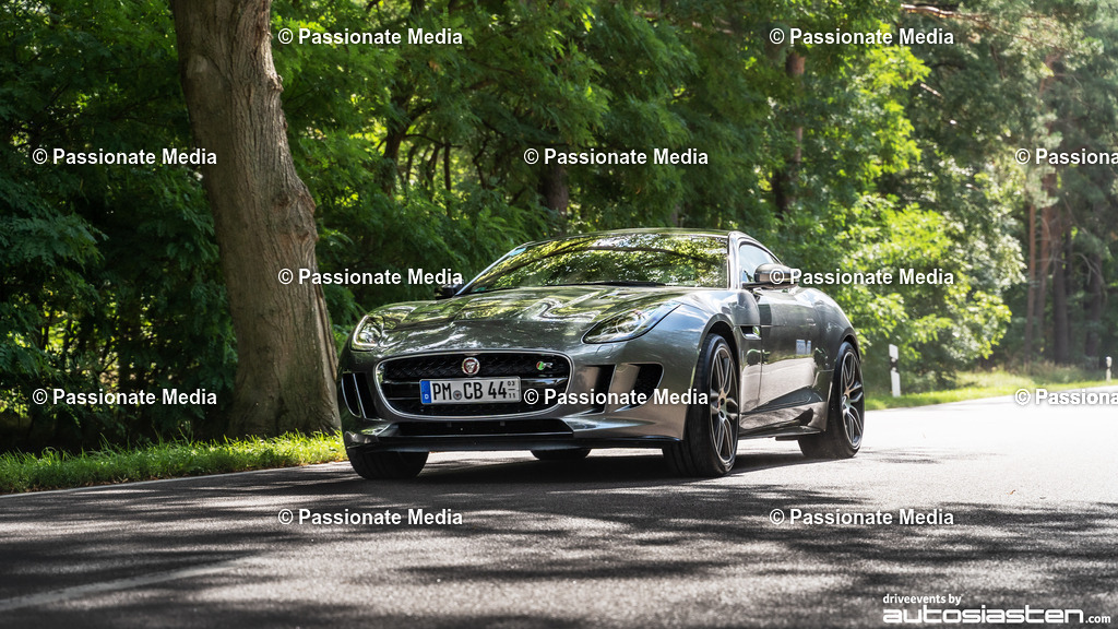 DSC00160 | Passionate Media, dein Fotograf aus Brandenburg, Märkisch Oderland, im Bereich Motorsport, Autos und Motorräder sowie Events und auch Hunde. Shootings oder auch Eventbegleitungen können bei mir gebucht we